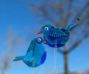 cursist blauwe vogeltjes